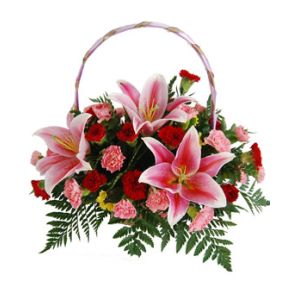 Red Carnations,Pink Carnations and Pink lilies Send to Vietnam