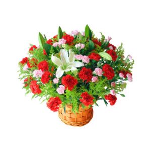 36 Red Carnations and 2 stalks White Perfume lilies Send to Vietnam