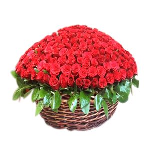 hundred red roses with green leaves send to vietnam
