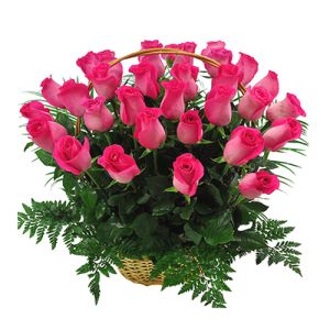 three dozen pink roses send to vietnam