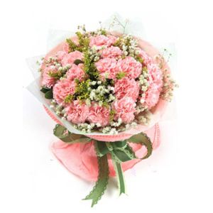 17 pink carnations with baby's breath to vietnam