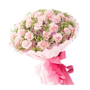 30 stems pink carnations to vietnam
