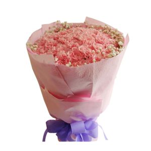 33 pink carnations bouquet to vietnam