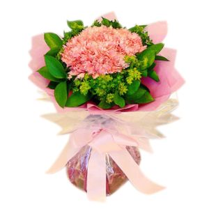 17 pink carnations delivery to vietnam