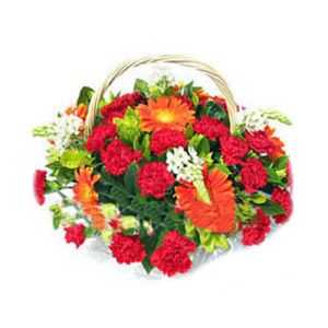 red carnations,gerbera with babys breath to vietnam