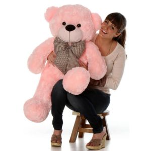 send beautiful and romantic teddy to vietnam