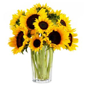 send sunflower in a glass vase to vietnam