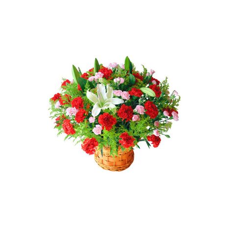 36 Red Carnations and 2 stalks White Perfume lilies Send to Vietnam