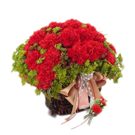 red carnations with green leaves delivery to vietnam