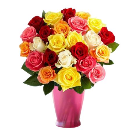 two dozen mixed color roses in vase to vietnam