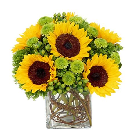 sunflower in glass vase to vietnam